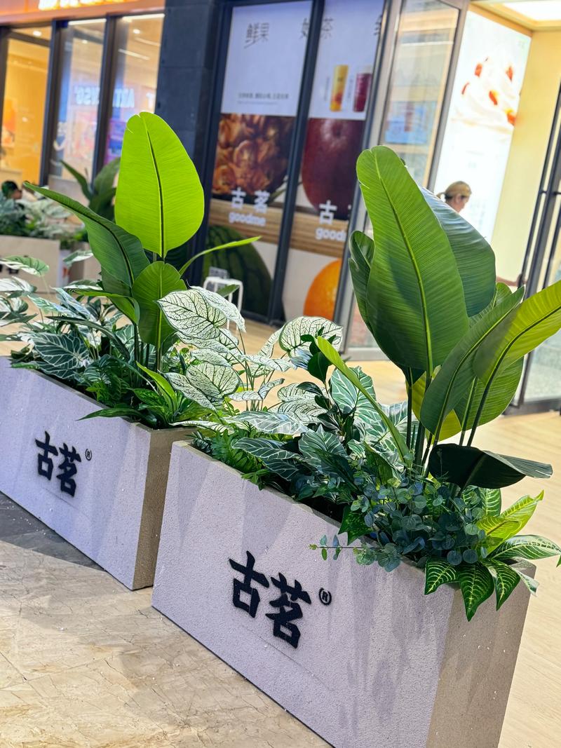 江门庆典舞台鲜花盆景供货商家专业指南:2026年如何避坑选对