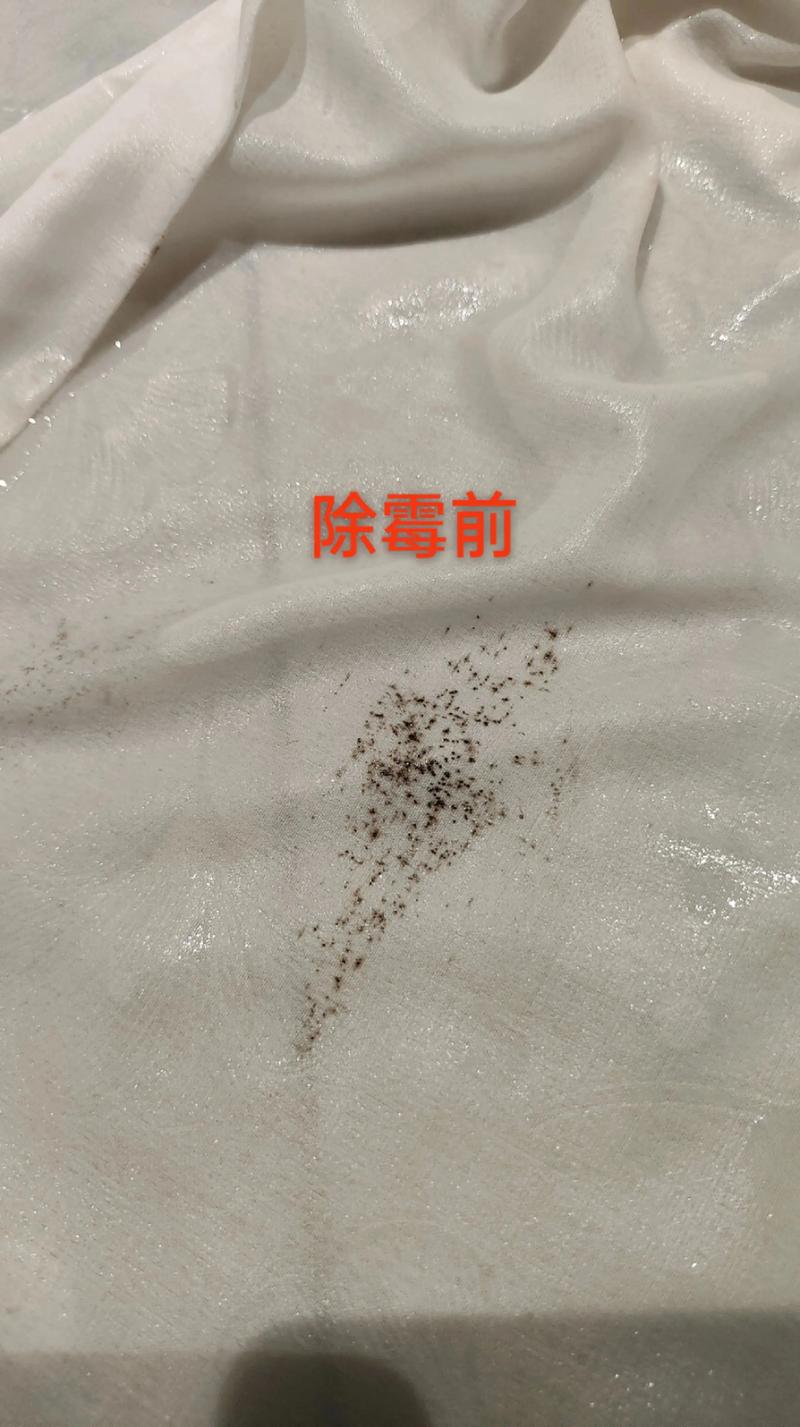 2026年三明窗帘清洗推荐清单：口碑好的服务商与价格参考