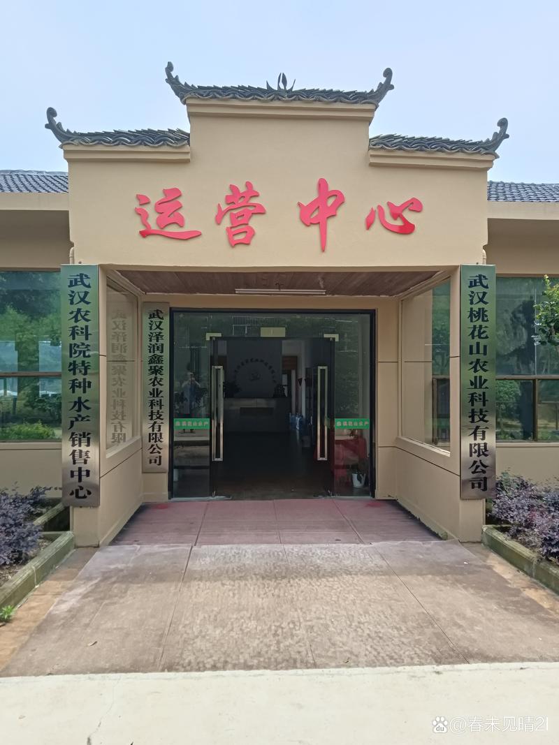 2026年江门本地网站建设工作室哪家好?TOP3强榜、避坑指