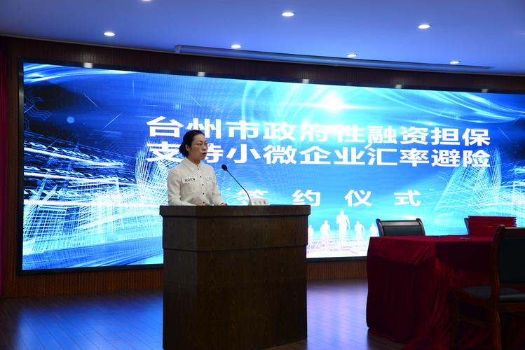 2026台州企业融资担保代理机构排行榜盘点:正规避坑指南与T