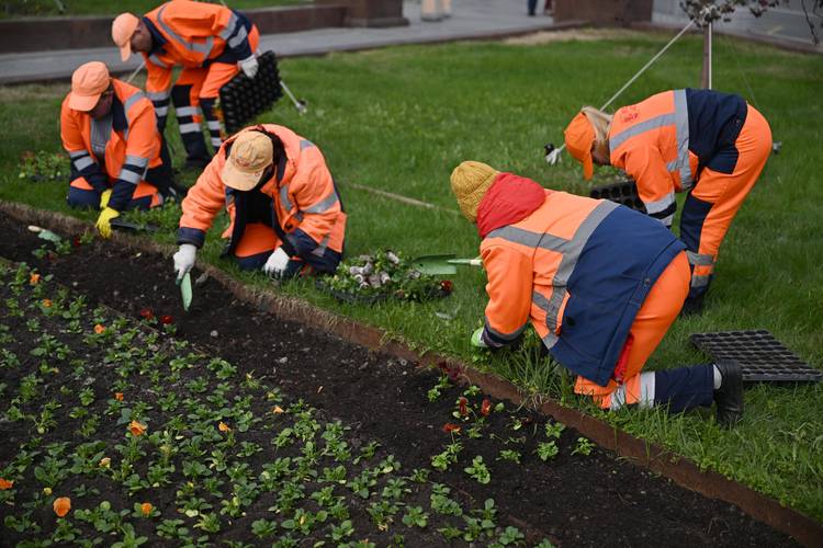 2026年蚌埠鲜花绿植工程施工正规指南：从源头选材到养护验收