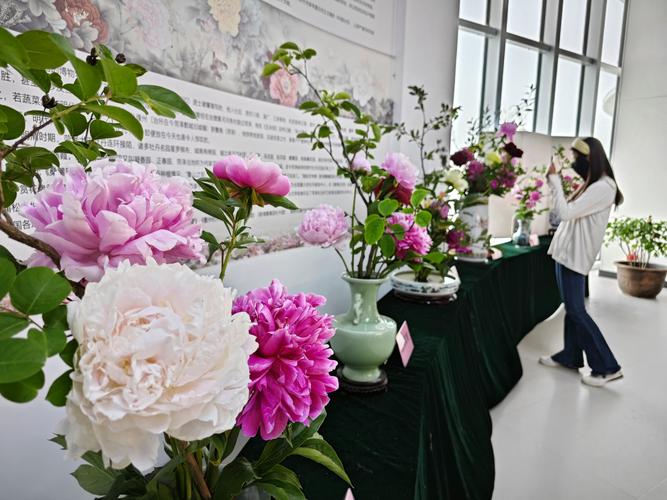 2026年菏泽庆典演出鲜花绿植本地服务商TOP5盘点:专业花