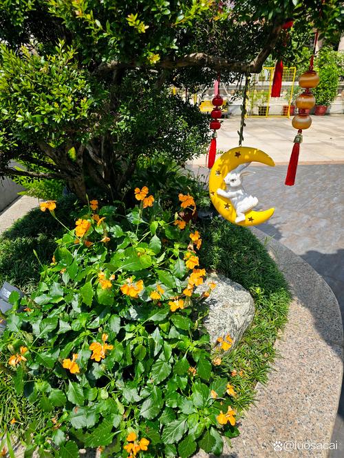 德阳观赏花卉避坑指南：2026年花色花期与种植技术避雷建议