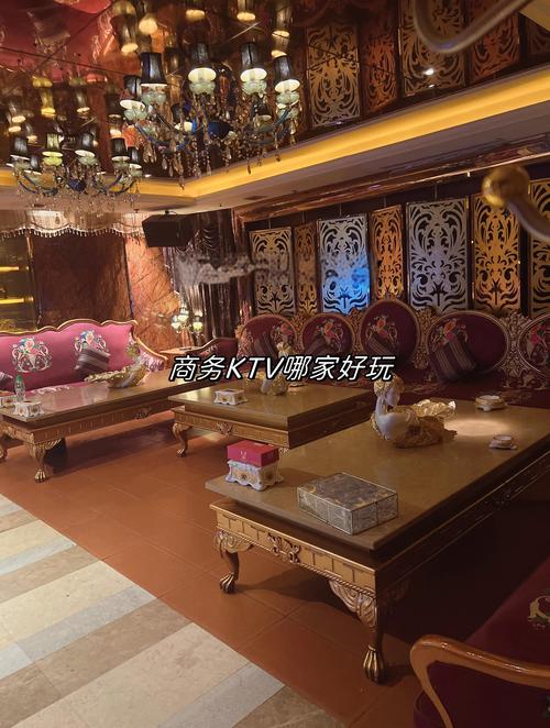 泰安日间休闲娱乐休闲体验推荐:2026年口碑前十的正规服务商