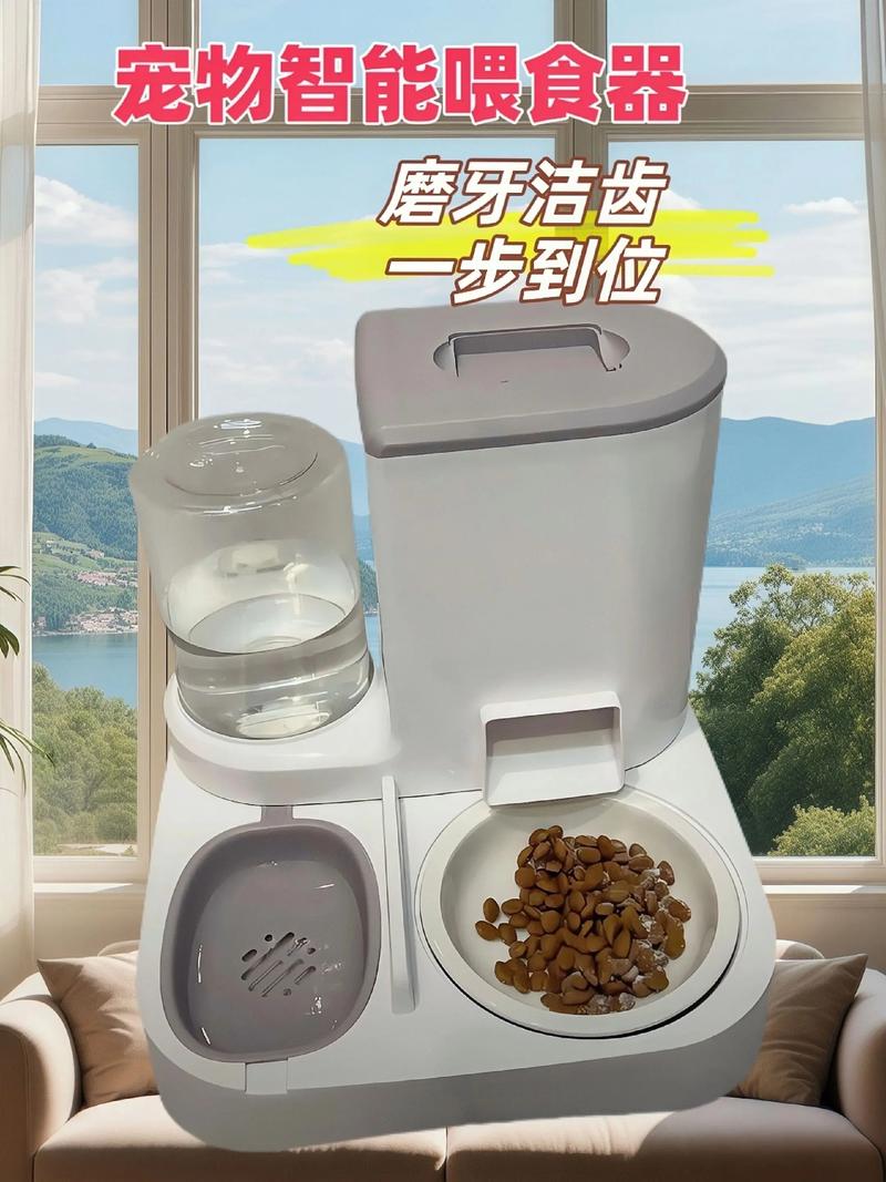 2026果洛宠物自动喂食器TOP3推荐:口碑好的品牌有哪些?