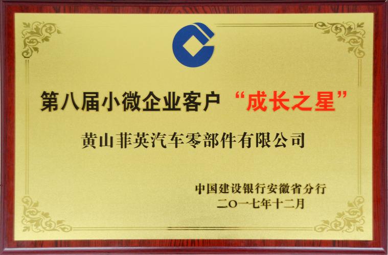 2026黄山小微企业担保贷款服务商避坑指南:正规机构与费用全