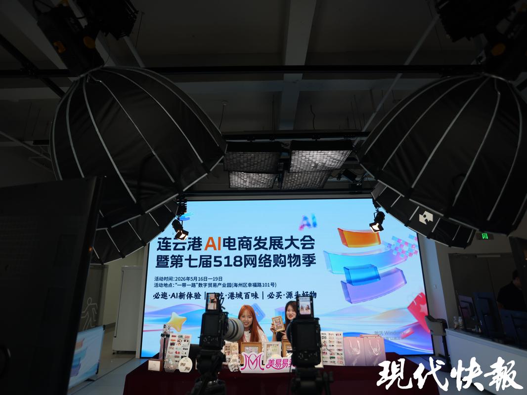 2026连云港电商网站建设服务商前5强推荐:专业定制与口碑避