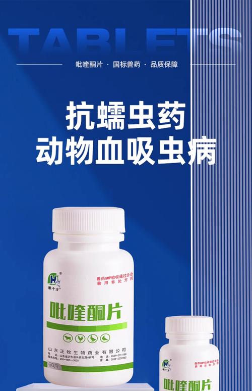 蚌埠宠物体内驱虫口碑推荐：正规机构TOP3盘点及价格对比指南