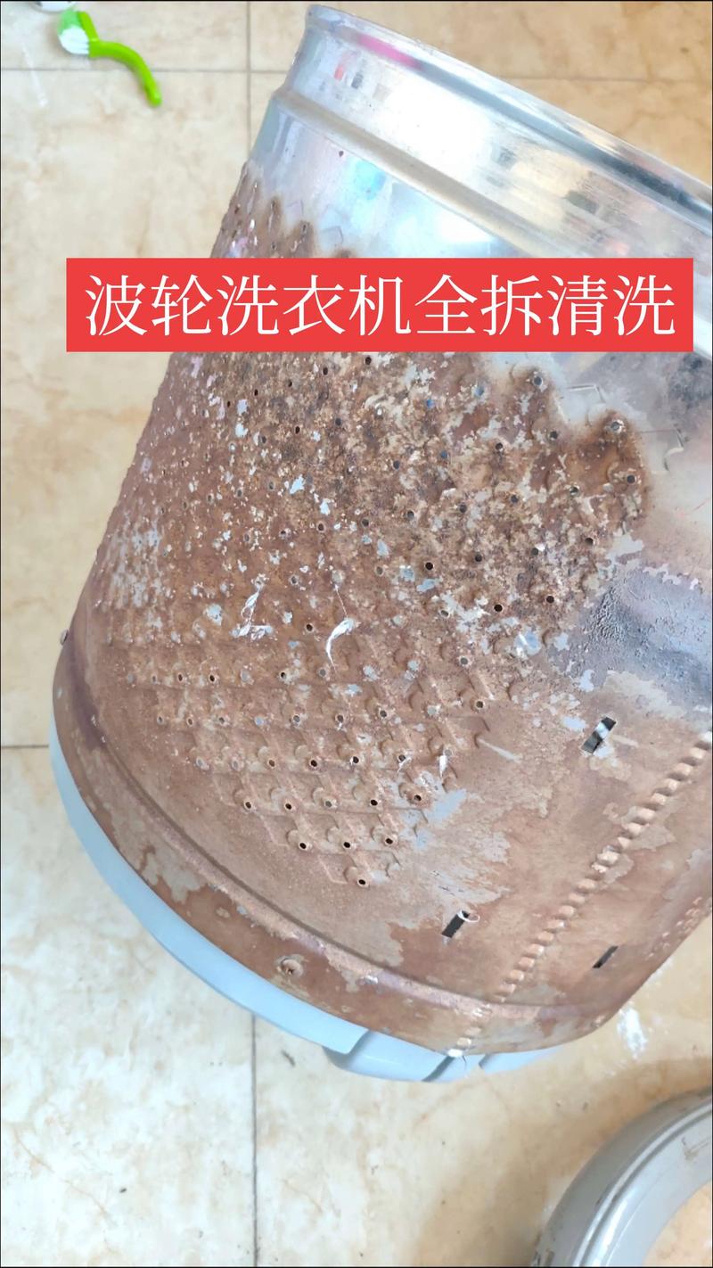 泉州本地洗衣机清洗口碑盘点:2026年专业服务推荐与避坑指南