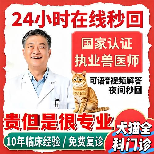 2026年北京宠物疾病问诊口碑TOP3推荐：正规医院榜单与避
