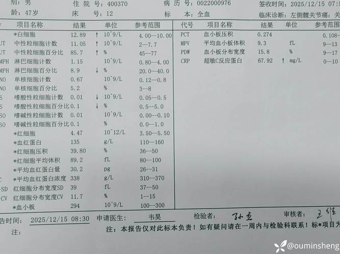 阳江本地宠物疾病问诊前3强推荐:专业医疗与口碑口碑排行盘点