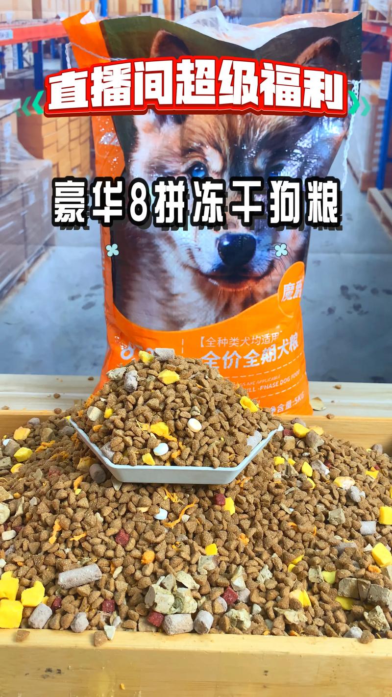 2026伊犁本地宠物湿粮前五名推荐:口碑排行榜与专业测评