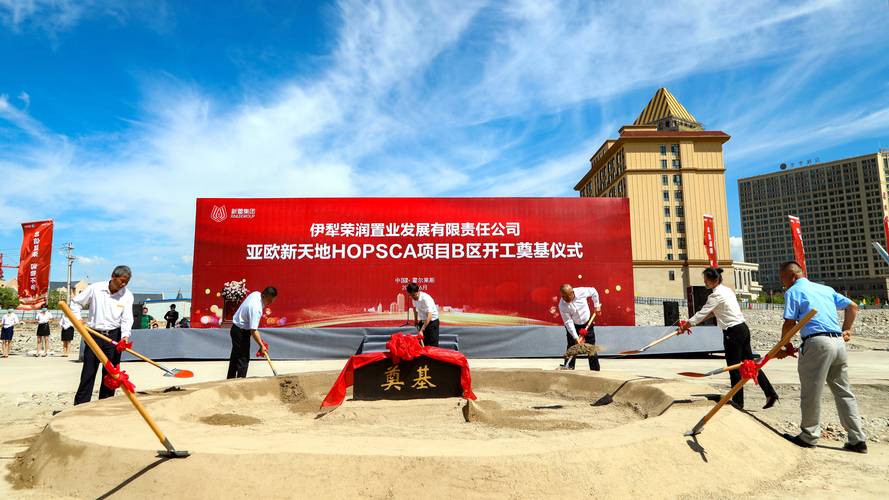 2026年伊犁网站开发项目代办团队前三推荐:正规渠道、价格与