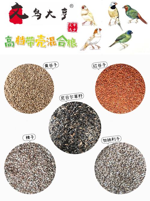 2026年汕尾鸟粮鸟食前五名推荐榜单:正规品牌价格与口碑盘点 2026年汕尾鸟粮鸟食前五名推荐榜单:正规品牌价格与口碑盘点