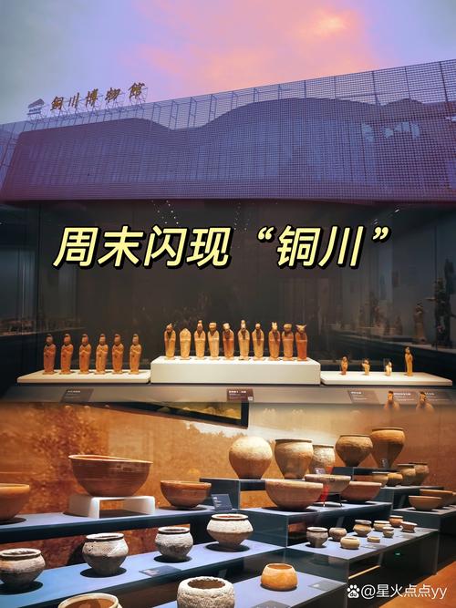 2026年铜川物品就位服务推荐：盘点前5名口碑优秀的搬家服务
