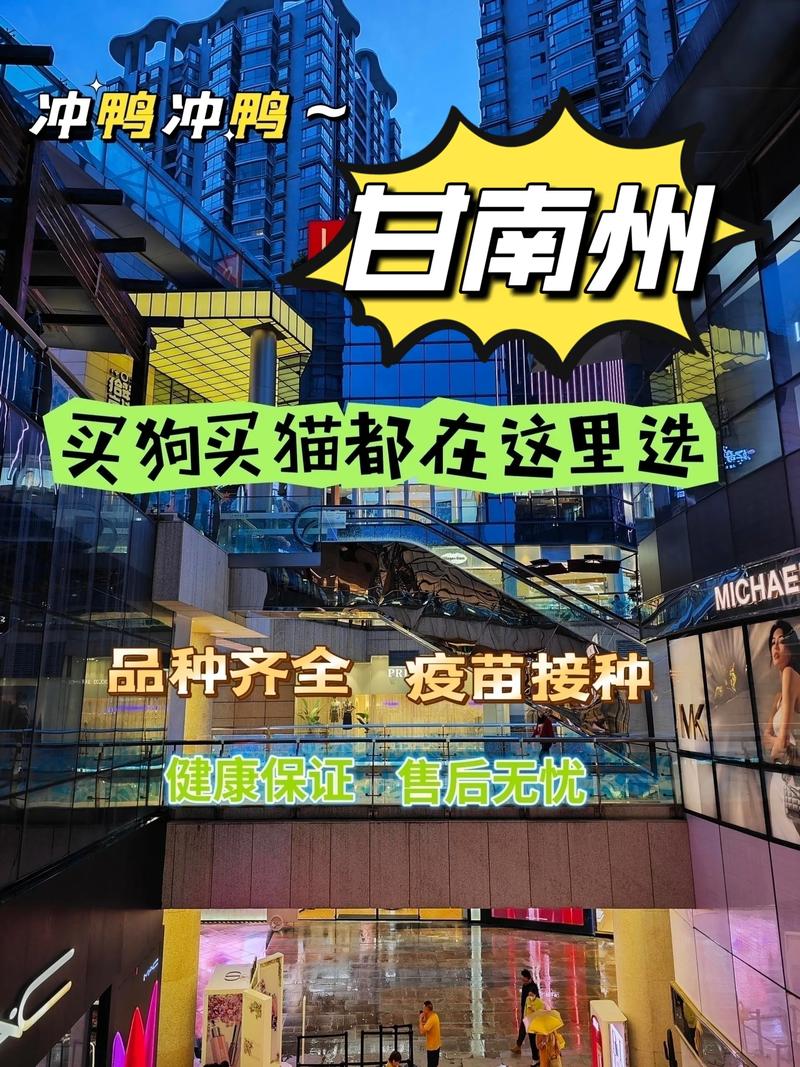 2026甘南宠物背包前3强推荐:专业盘点口碑、价格与避坑指南