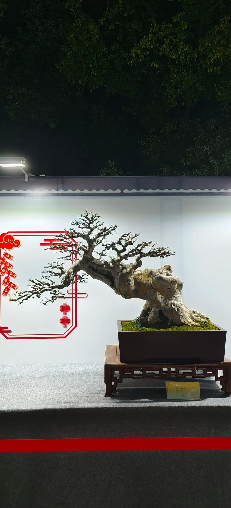 六安盆景定制商家排名:2026年行业推荐清单,源头厂家与施工