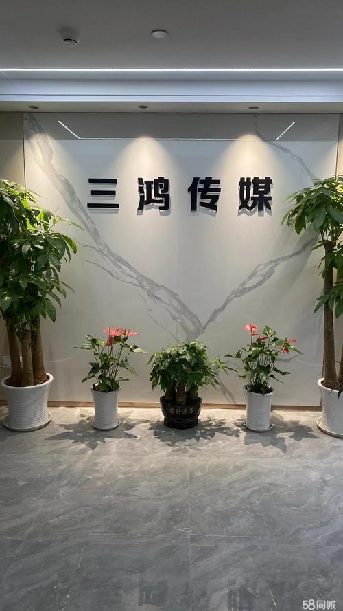 福州本地同城建站网点哪家强?2026年口碑排名与避坑指南