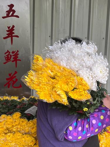 广州庆典演出鲜花基地供货商价格参考与优质商家推荐