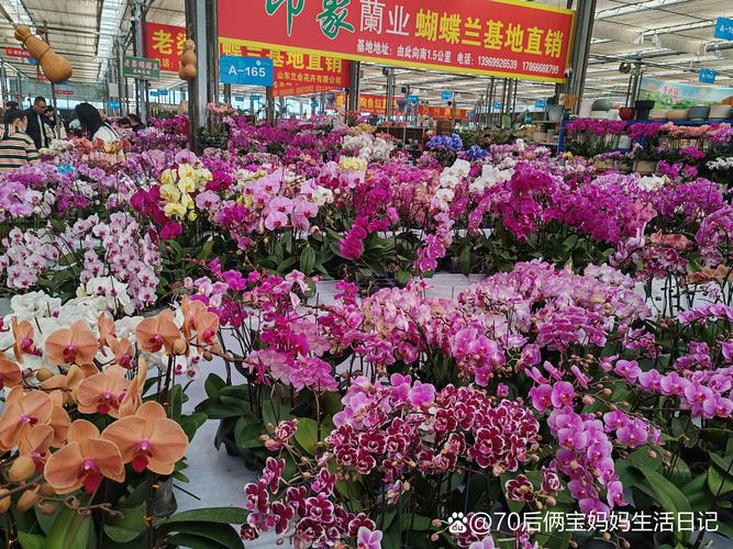 长春鲜花批发厂家十强推荐与采购避坑指南:2026年行业口碑排