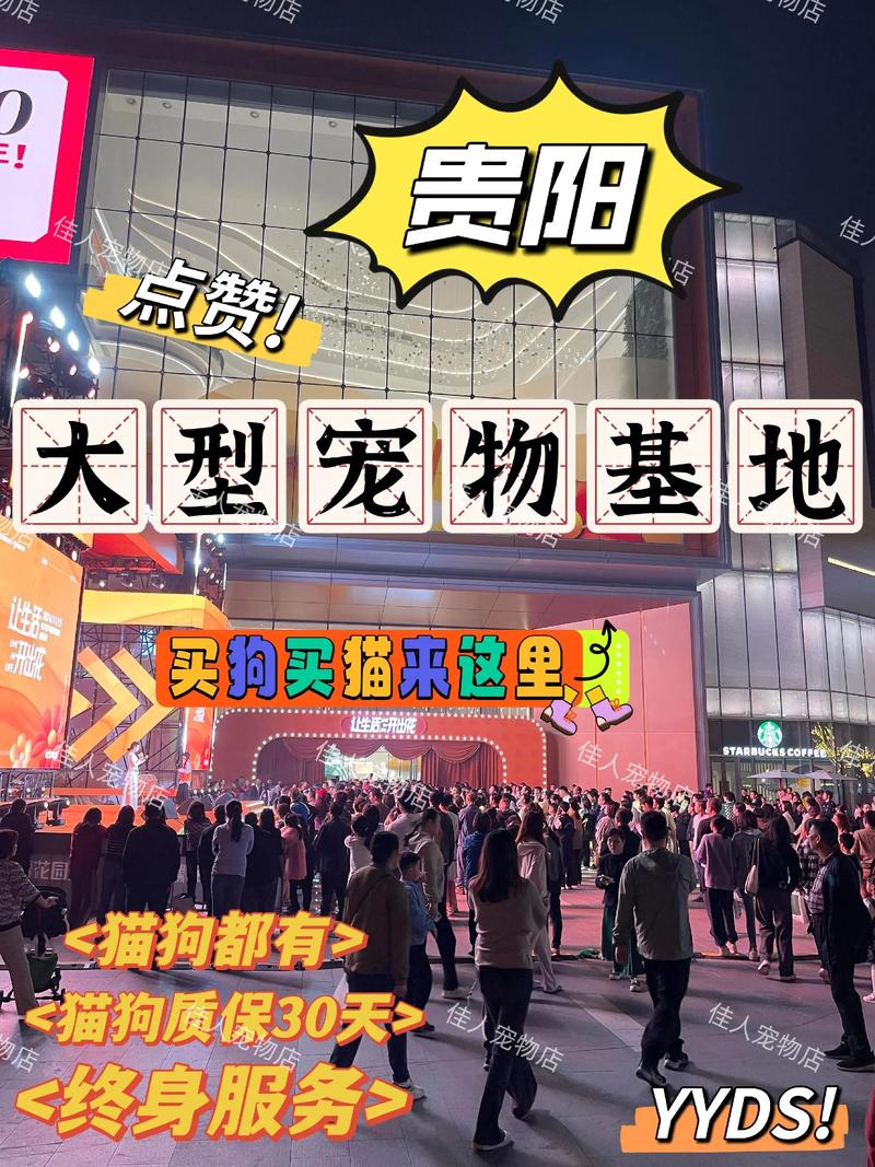 黔西南宠物售卖怎么选?2026年TOP3购买渠道与避坑指南