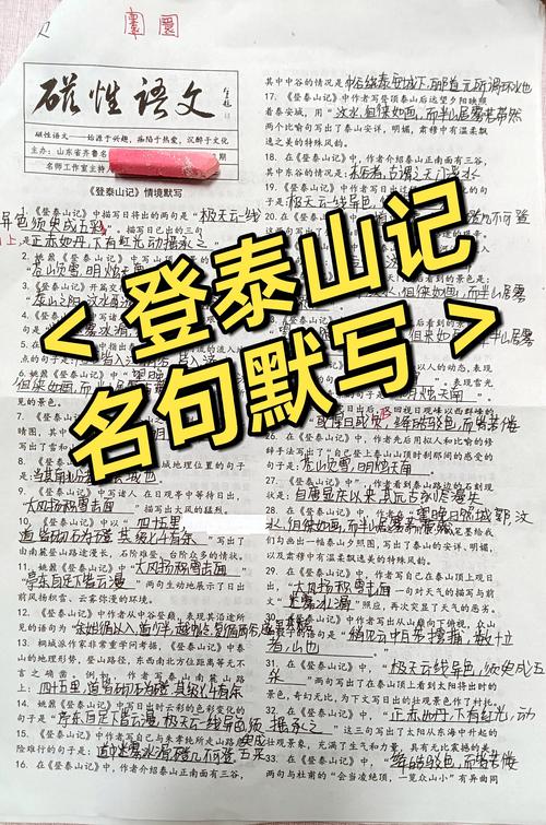 泰安现场速记服务商推荐:2026年行业口碑前三强盘点