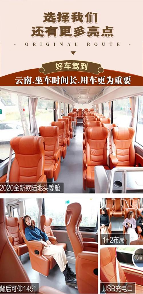 2026年丽江自动挡陪驾服务商榜单:专业陪练与代驾服务深度盘