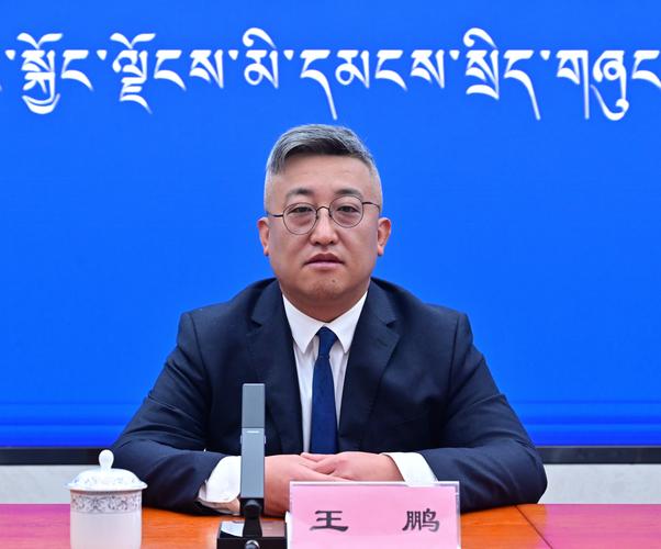 2026甘南应届生职业技能培训5大推荐:正规避坑指南与费用解