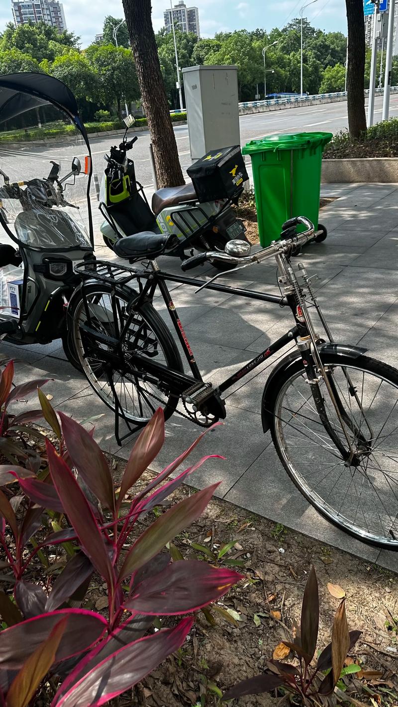 苏州附近永久自行车转让前五:如何找到正规靠谱的代步好车