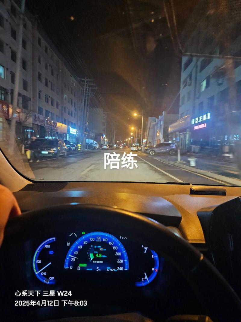 辽阳泊车陪练推荐及避坑指南:2026年本地前三名服务盘点