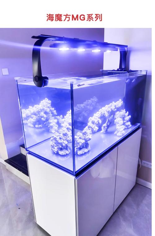 2026荆门本地鱼缸水族箱专业推荐:从水生湿地型造景看水质净