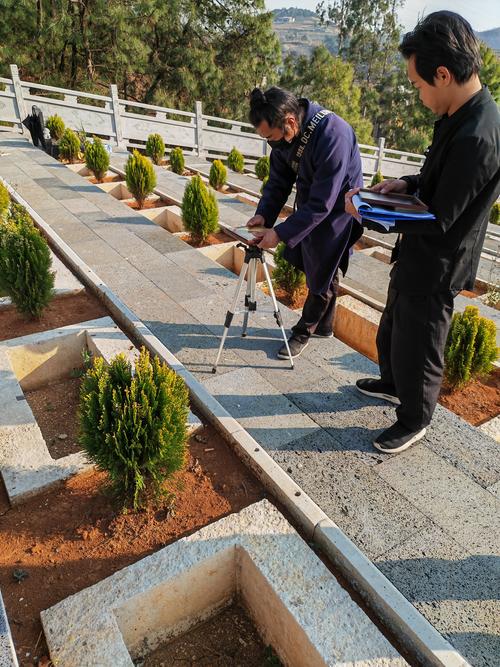 南昌庭院鲜花盆景施工队正规推荐:2026年结合风水寓意的专业