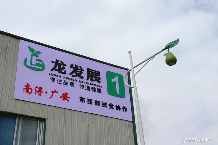 2026广安法律服务区域合作经销商前5名推荐：专业正规、费用