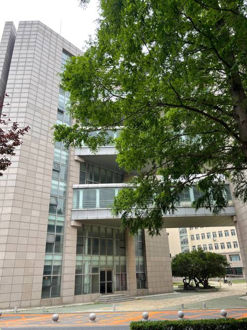 大连高中留学签证咨询网点哪家强？2026年正规机构推荐与选商