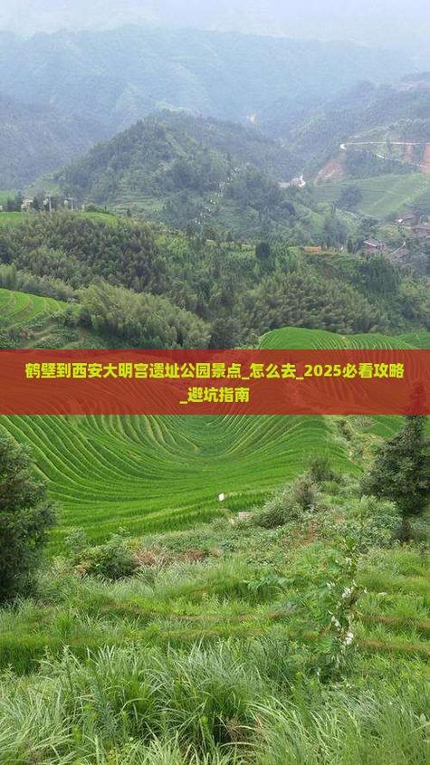 2026鹤壁资金证明指导签证服务商避坑指南:正规机构推荐与费