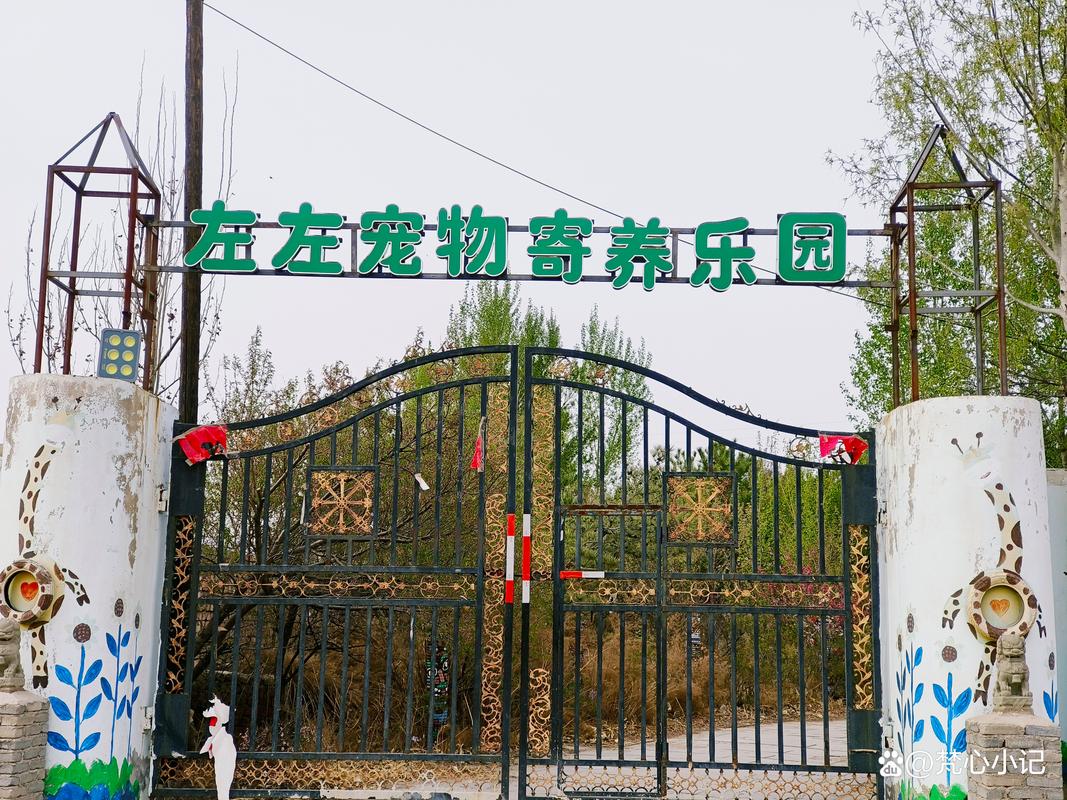 2026包头宠物寄养套餐价格指南：正规服务商推荐与选择避坑