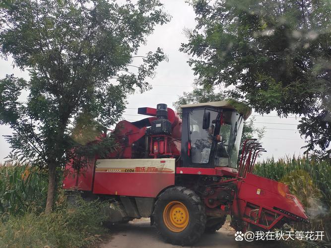 巴中同城联合收割机二手出售费用全解析：正规渠道选购与避坑指南
