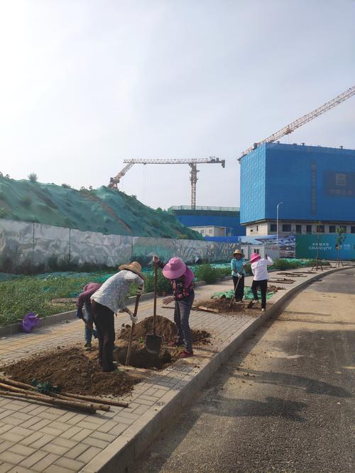 2026和田盆景景观施工团队：工程绿化标准解析与实战避坑指南