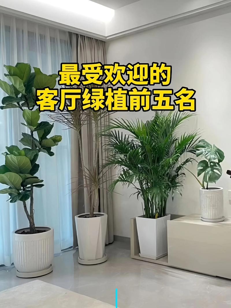 北海哪里有观赏绿植出售排行榜？2026年本地奇石盆景正规渠道