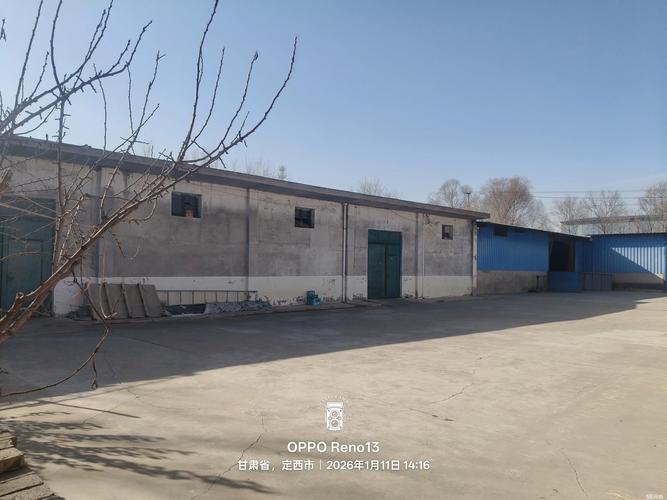 2026定西个人收藏品二手交易指南:正规渠道推荐与避坑秘籍