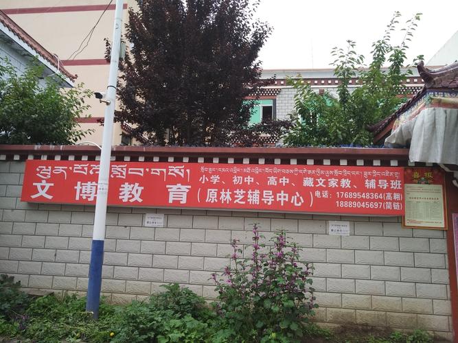 林芝本地家教辅导网点怎么选?2026年一对一、小班与线上辅导