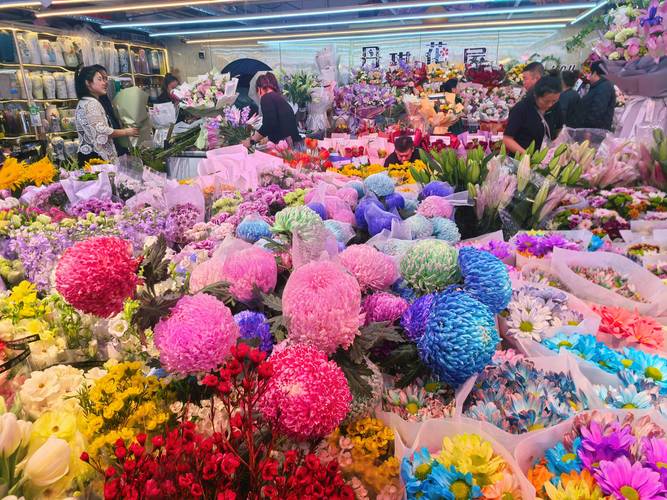 哈尔滨鲜花批发经销商市场甄选指南与行业现状分析