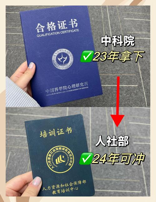 朝阳文体培训避坑指南：2026年正规机构推荐清单与价格参考