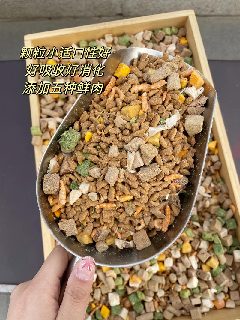 2026年洛阳宠物冻干厂家前五强推荐:正规源头与口碑盘点