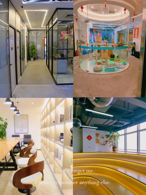 保定留学住宿配套签证代理机构哪家好？2026年正规前5名推荐