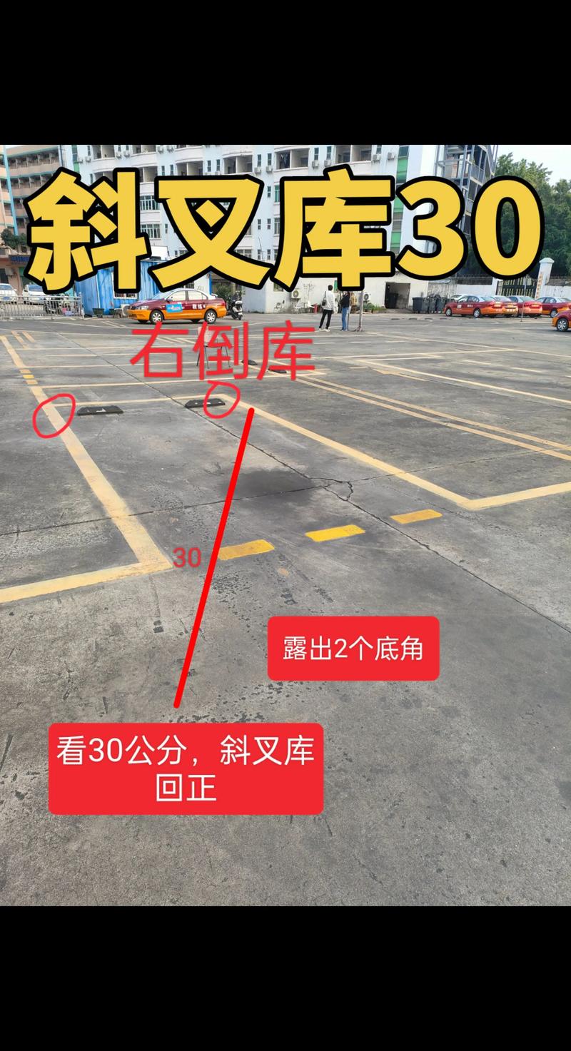 邵阳倒车入库陪练服务商TOP3推荐：2025年新手司机口碑榜