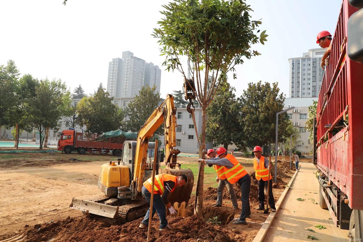 2026安阳盆景工程施工队盘点：专业施工、价格解析及避坑指南