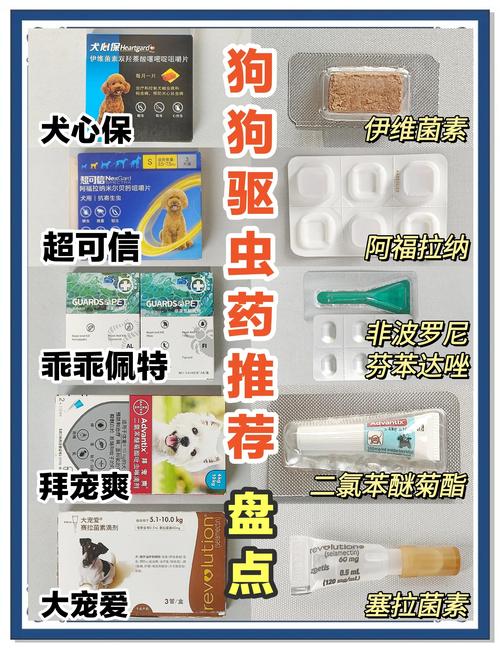 2026年淮安宠物体内驱虫正规服务商推荐及避坑指南