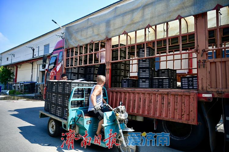 2026济南货物搬运排行榜：正规专业搬家服务推荐，五强避坑指