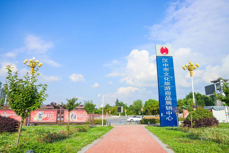 2026汉中本地文体培训服务商5大推荐:正规、口碑与价格全方